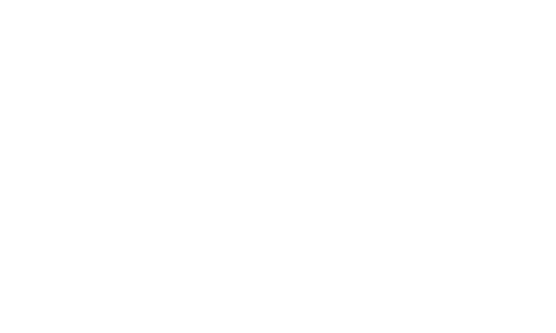 Fractional Sales Leadership
